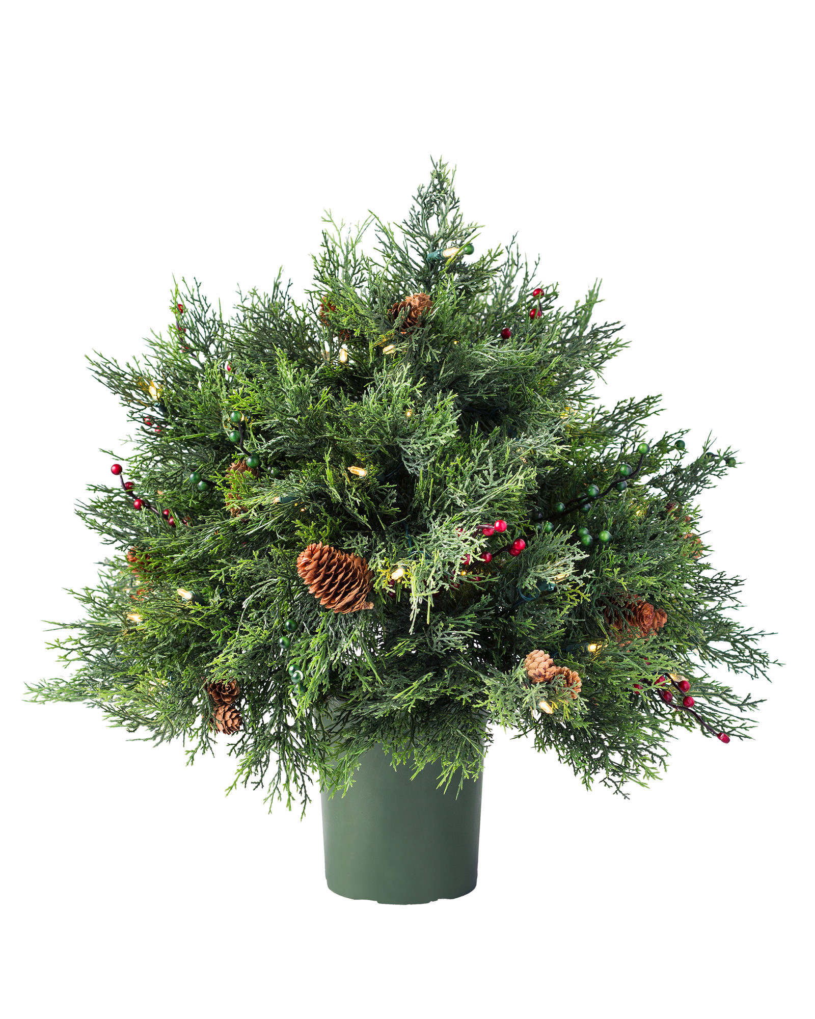 Outdoor Beacon Hill Cypress Potted Tree