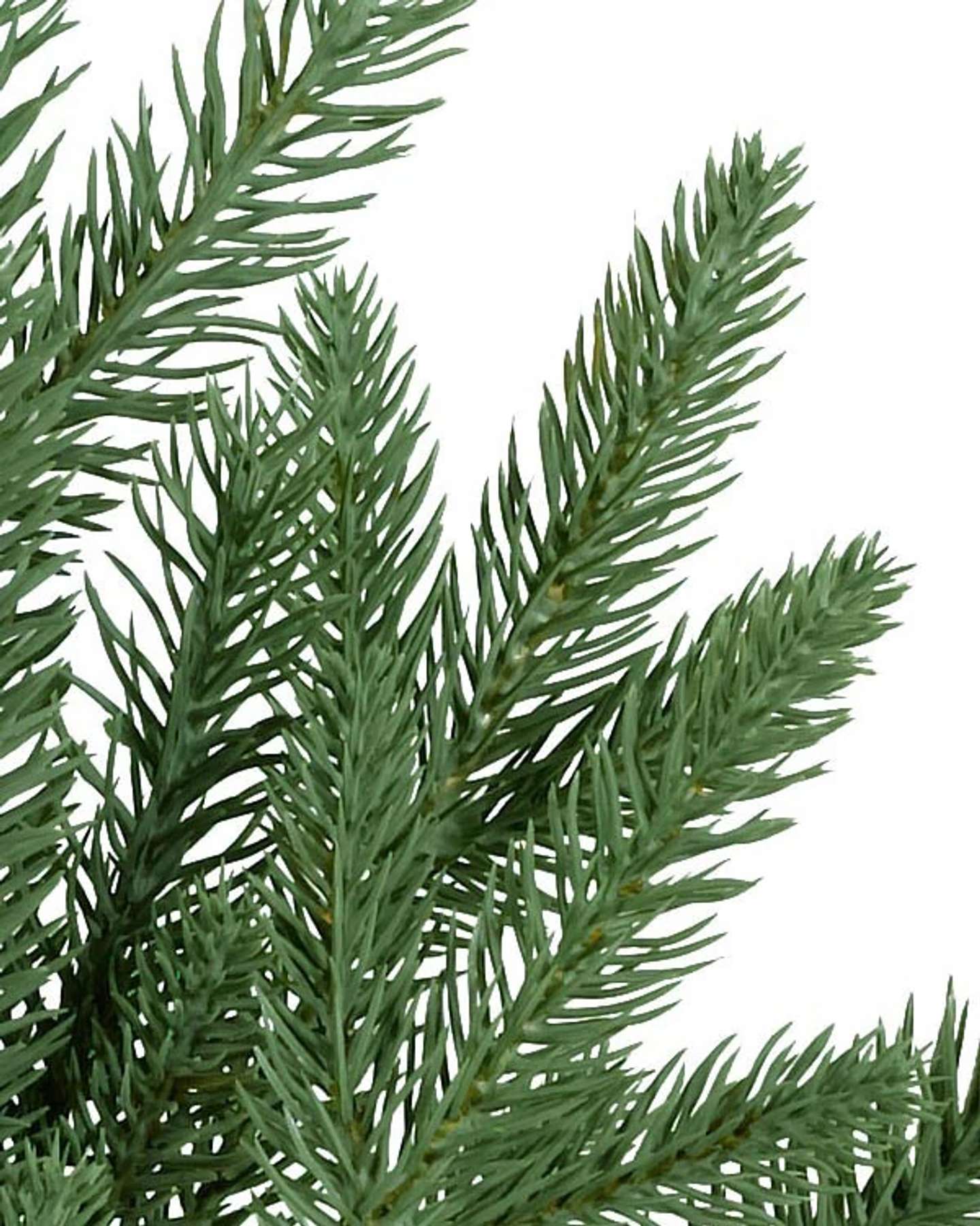 Balsam Hill Red Spruce Slim Artificial Christmas Tree Detailed View