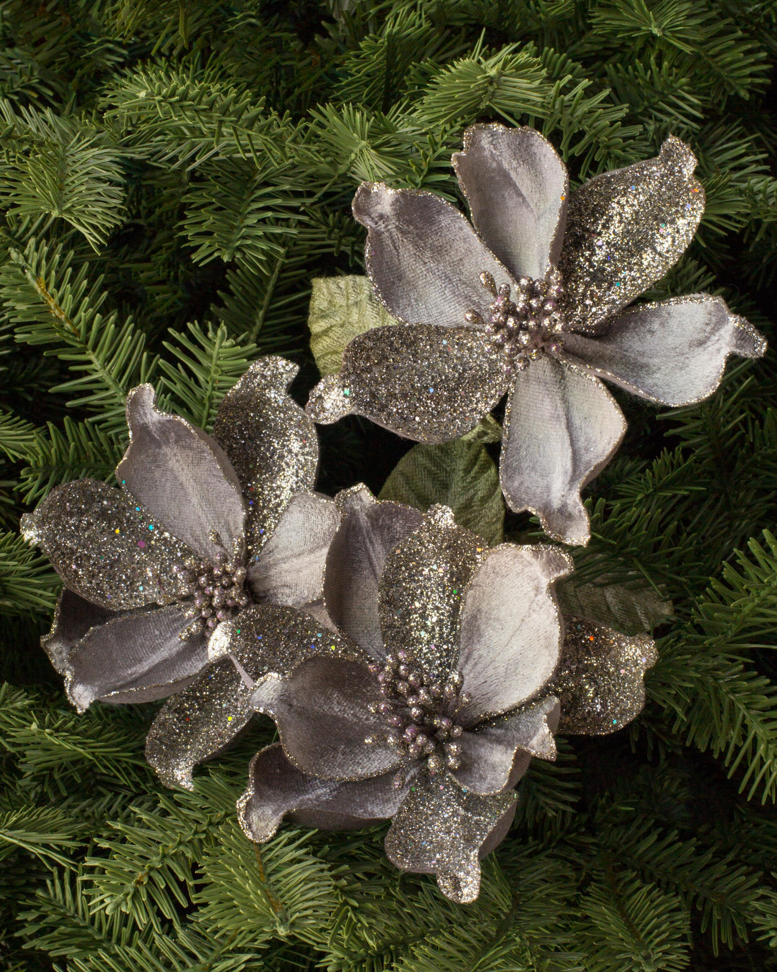 Mini Magnolia Christmas Picks Balsam Hill