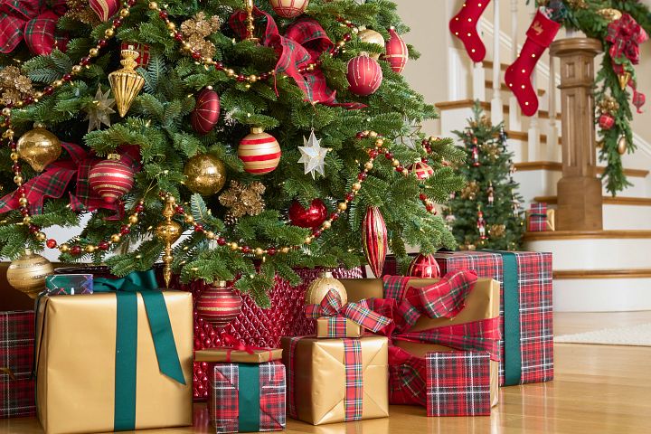 Gifts That Keep on Giving: Holiday Surprises They Won't Forget