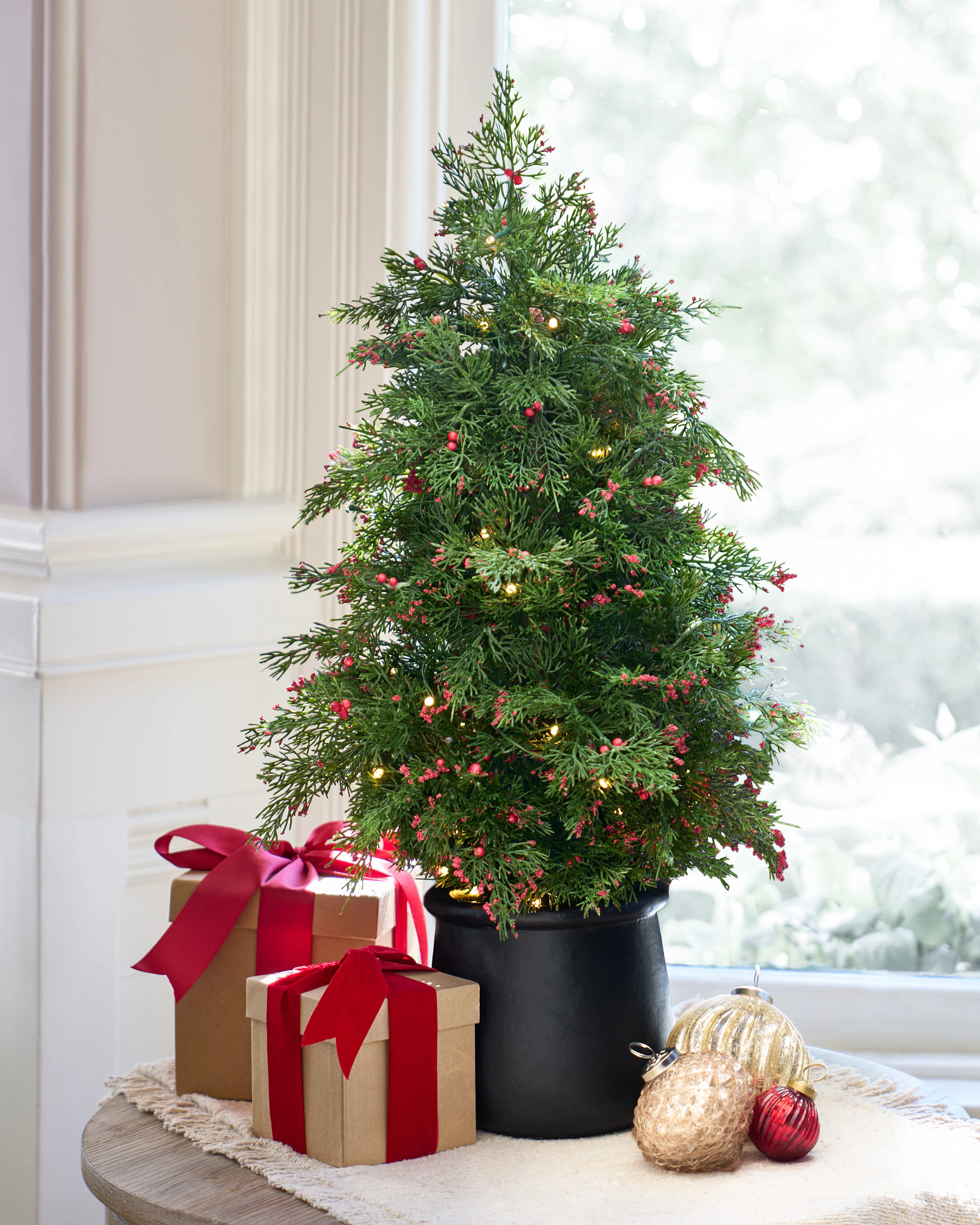 Mini Berries Potted Tree