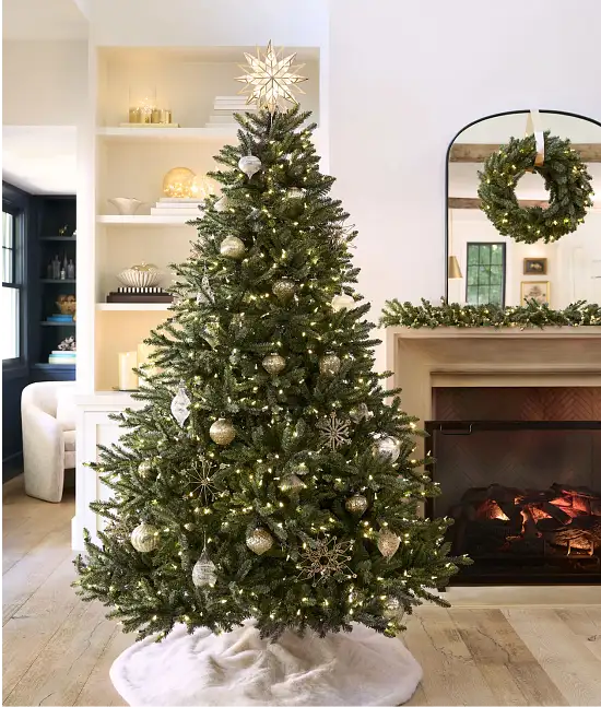 Bestselling Trees