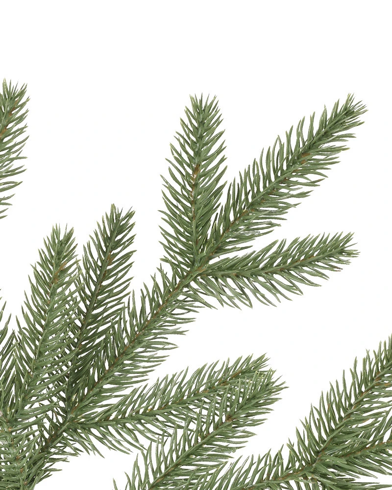 STR-T Stratford Spruce branch by Balsam Hill Detail