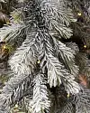 Frosted Forest Pine Tree by Balsam Hill Closeup 10