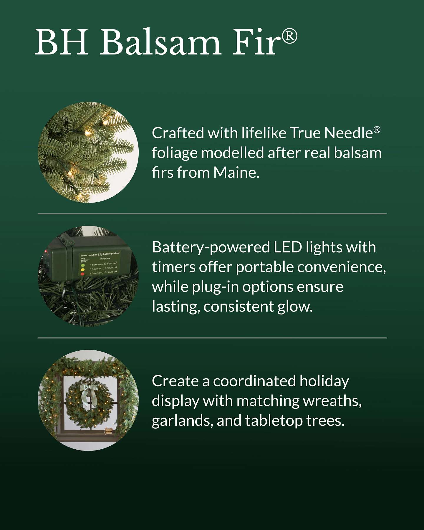 BH Balsam Fir Garland