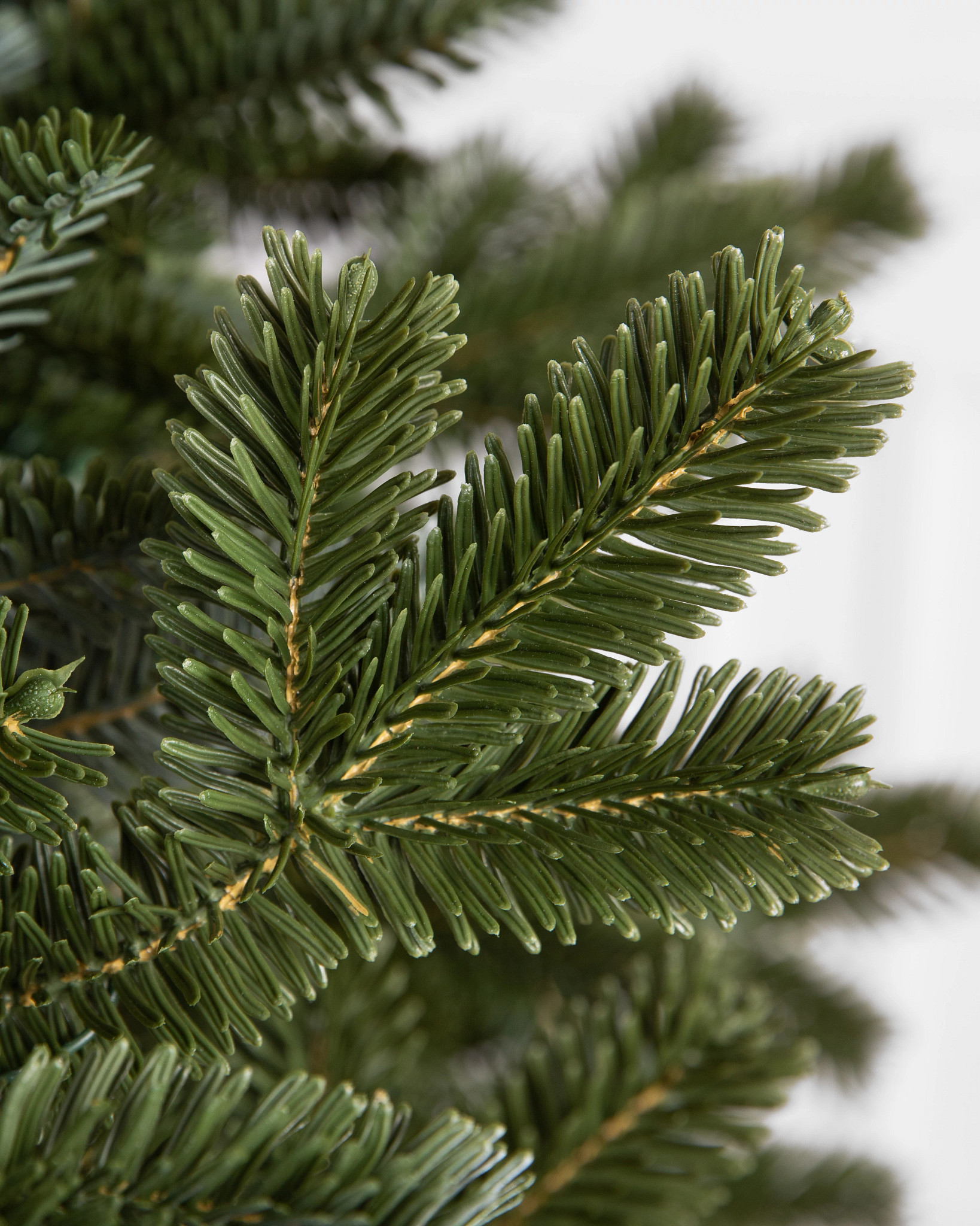 BH Fraser Fir® Narrow Artificial Christmas Tree | Balsam Hill®