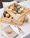 Crate of 12 Mini Pumpkins by Balsam Hill
