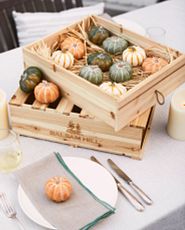 Set of assorted mini artificial pumpkins in a wooden crate on top of a dining table with place settings and flameless candles