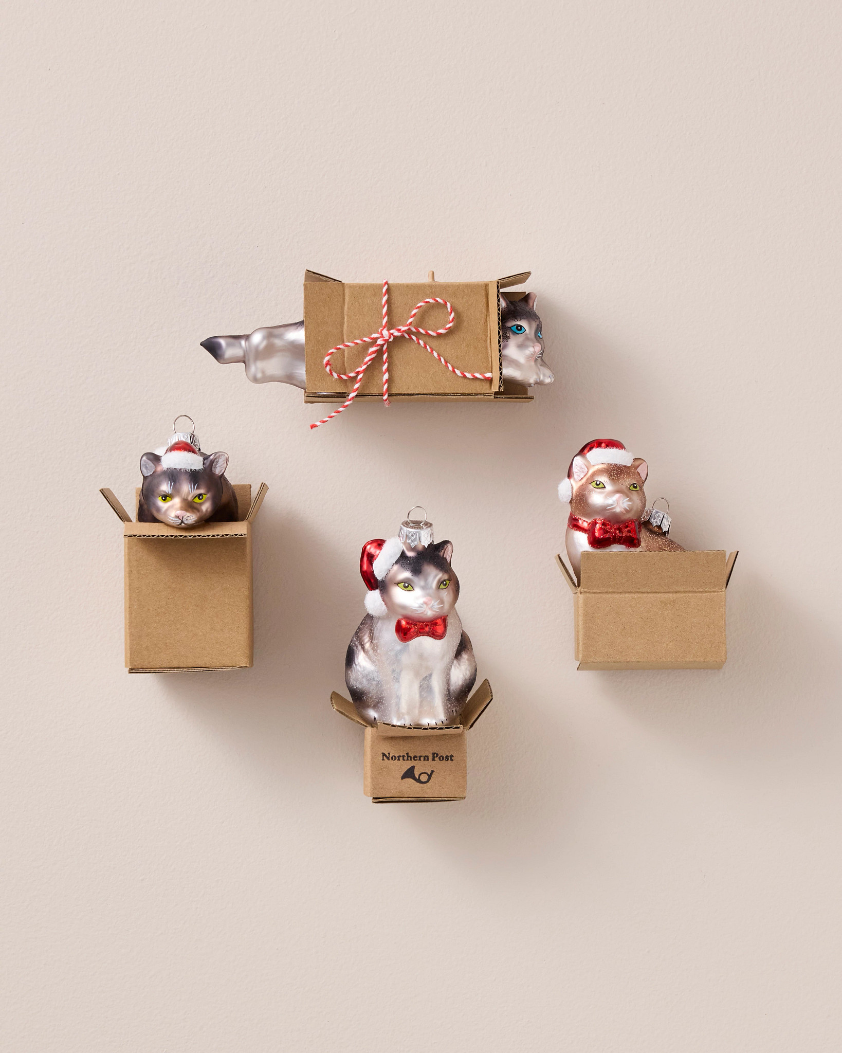 Holiday Cat-in-a-Box Glass Ornament Set