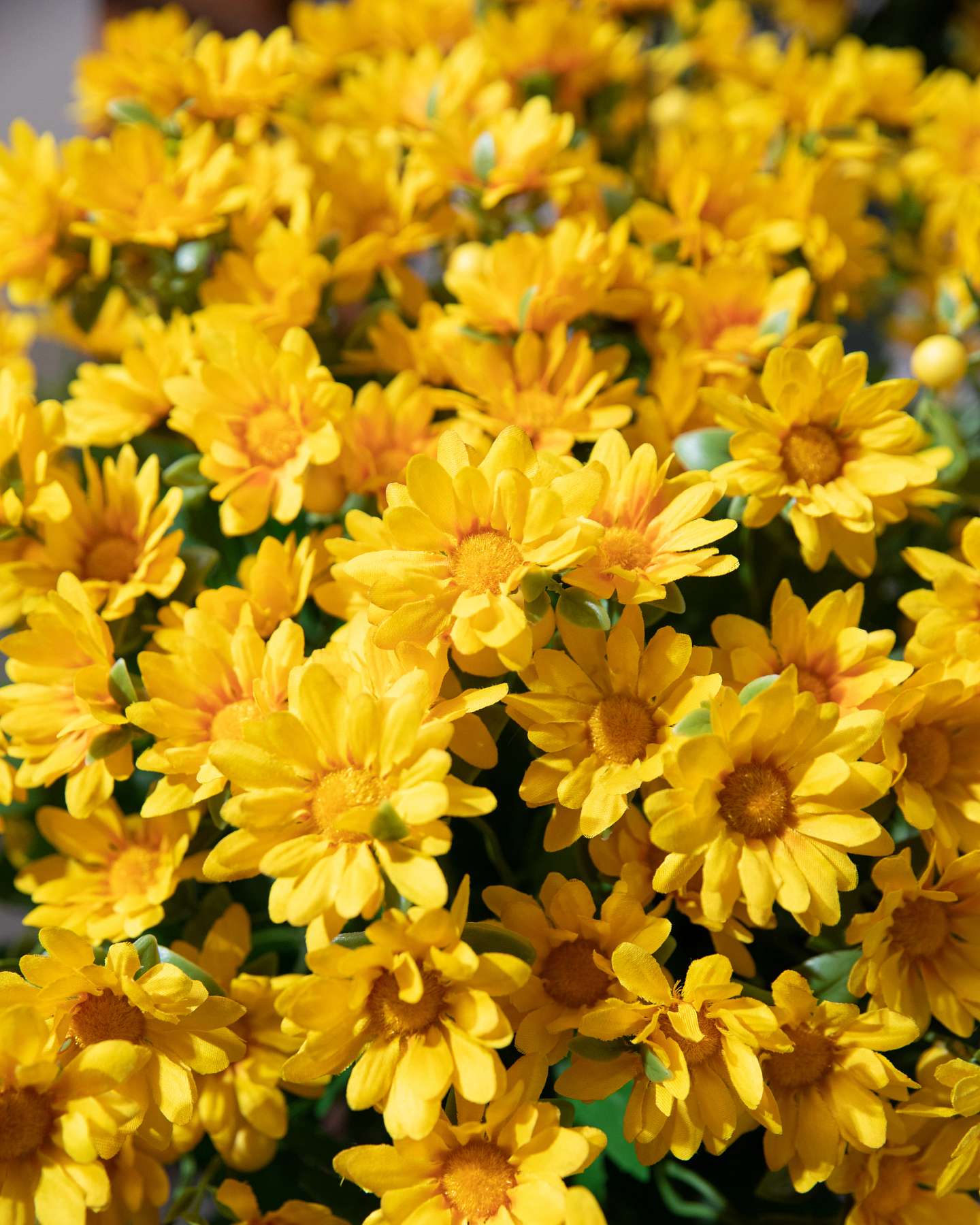 Balsam Hill Gold Outdoor Sunset Mums Potted Artificial Fall Foliage Set of 2 20-Inch Flower Closeup