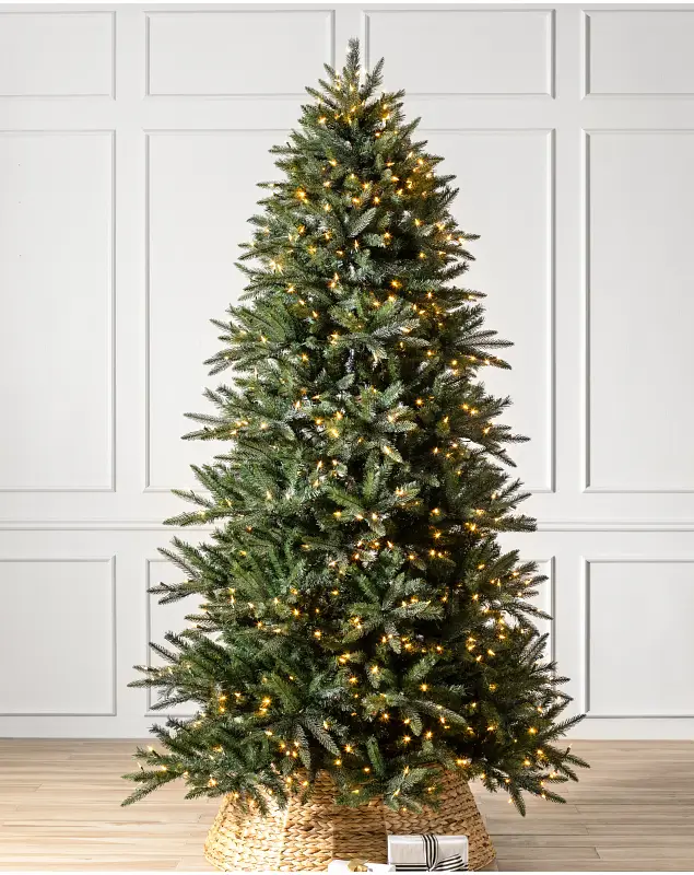 Mariana Spruce by Balsam Hill SSC 20