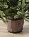 Potted Baby Sanibel Spruce by Balsam Hill SpFeat 10
