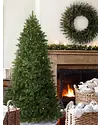 Woodland Spruce™ Artificial Christmas Trees | Balsam Hill