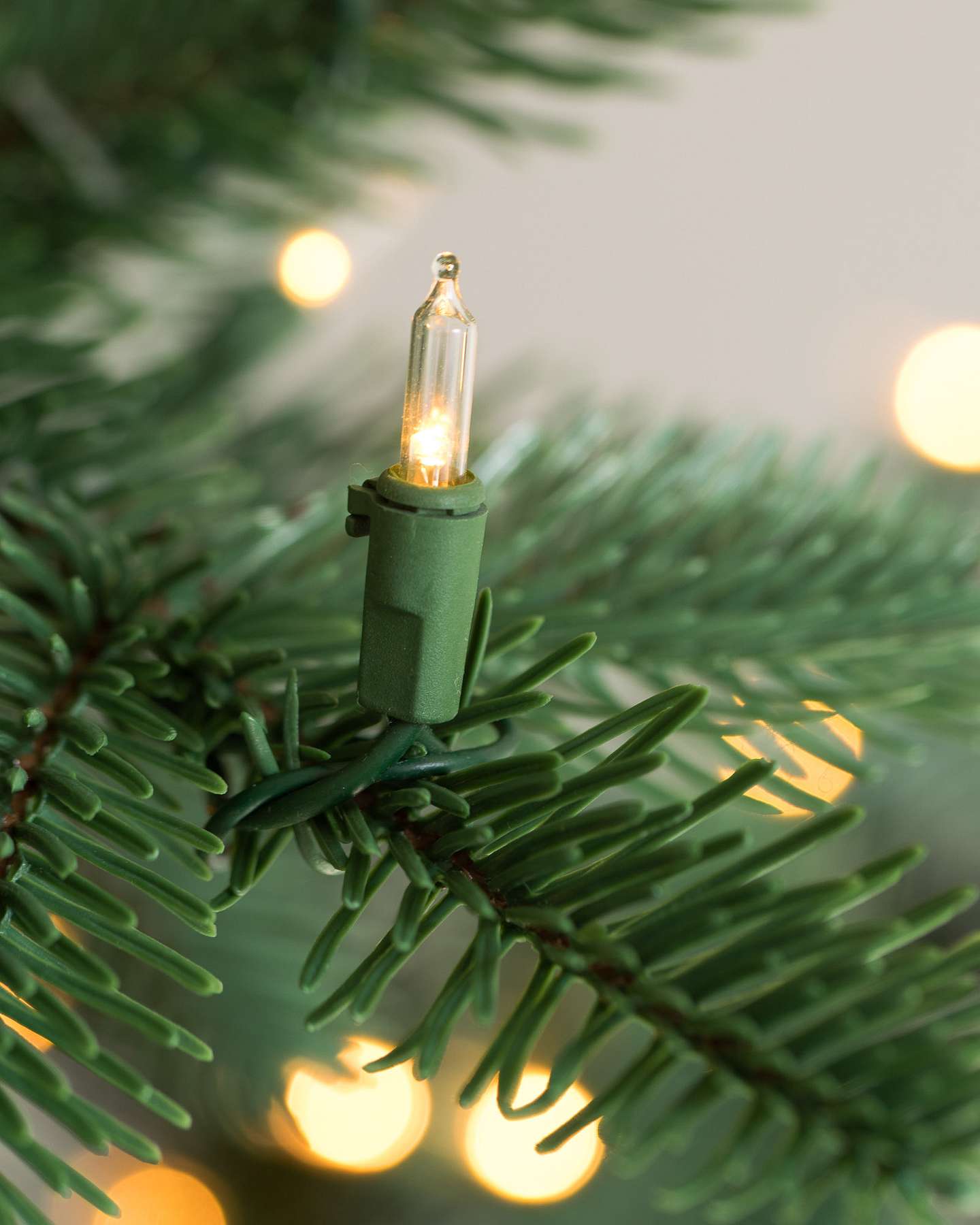 Balsam Hill Mountain Fir Tree Natural Detail Close-Up
