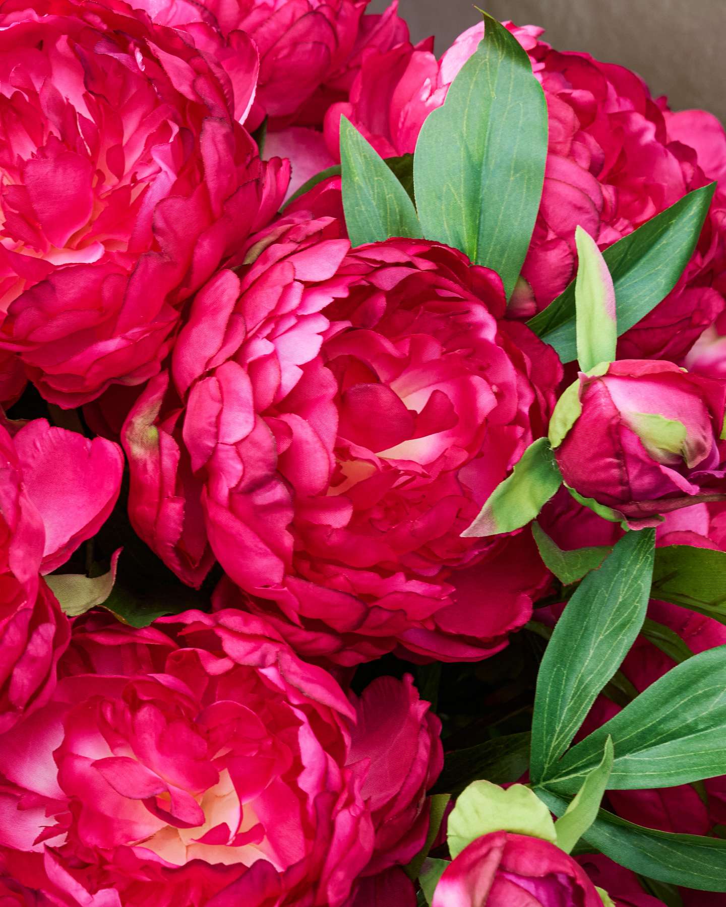 Outdoor Magenta Peony Paradise Pot Fillers Set of 2 by Balsam Hill Closeup 20