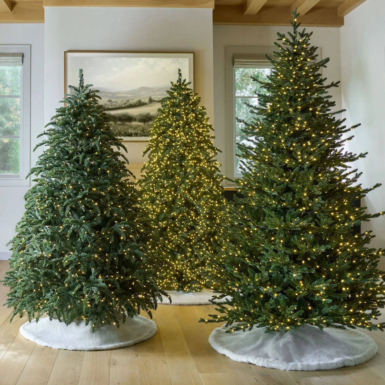 The Tree Shop