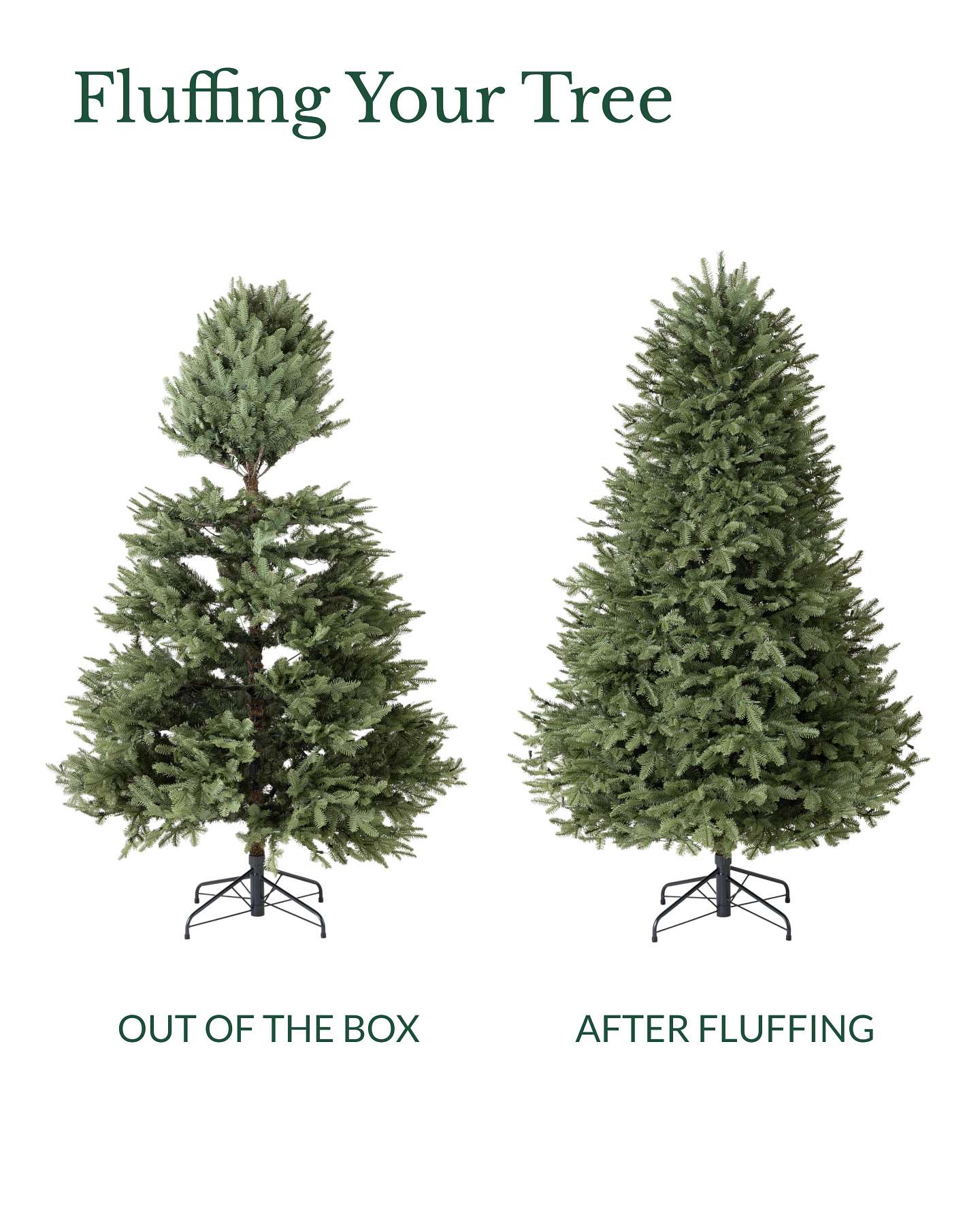 7' BH Balsam Fir