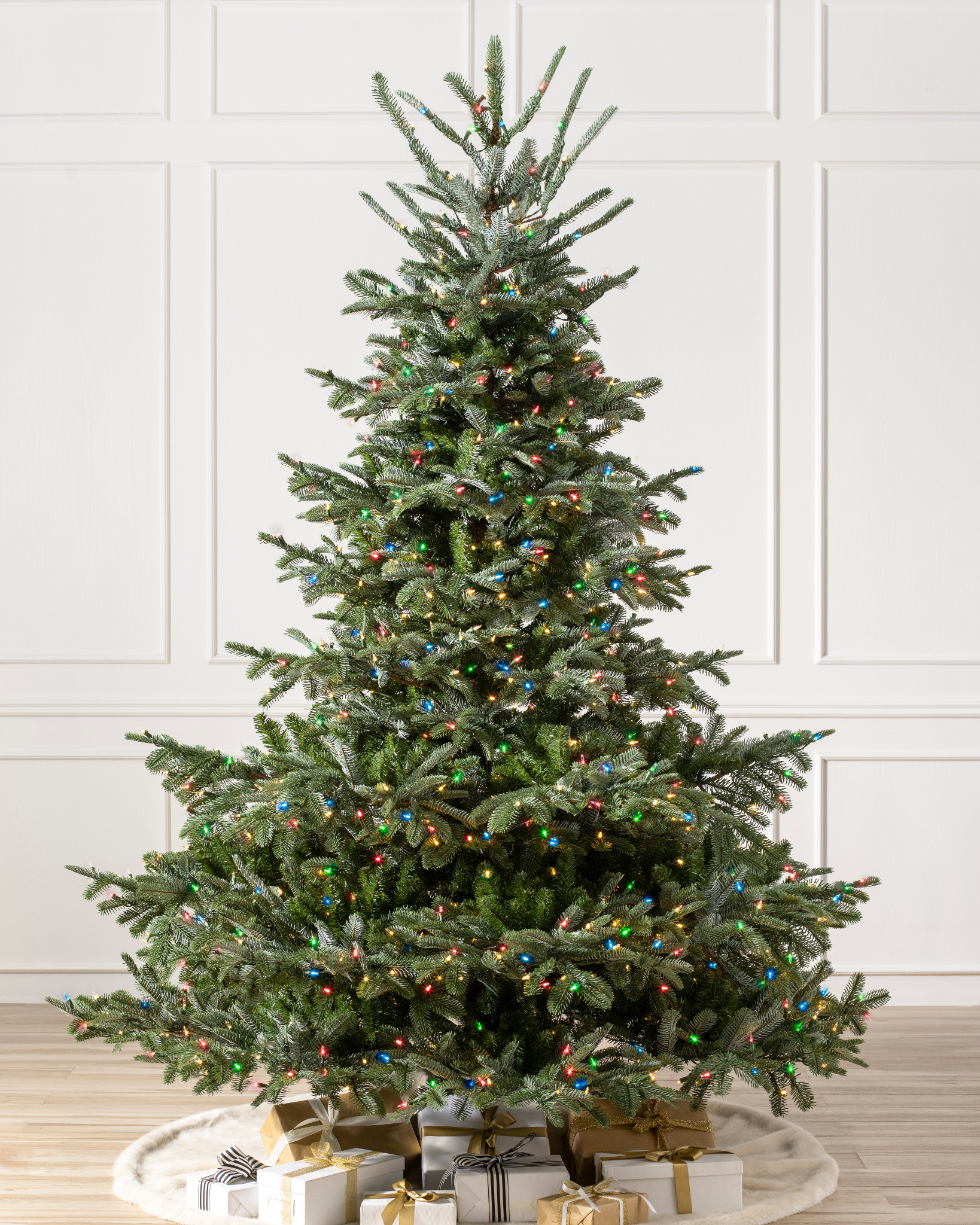 Sapin commun