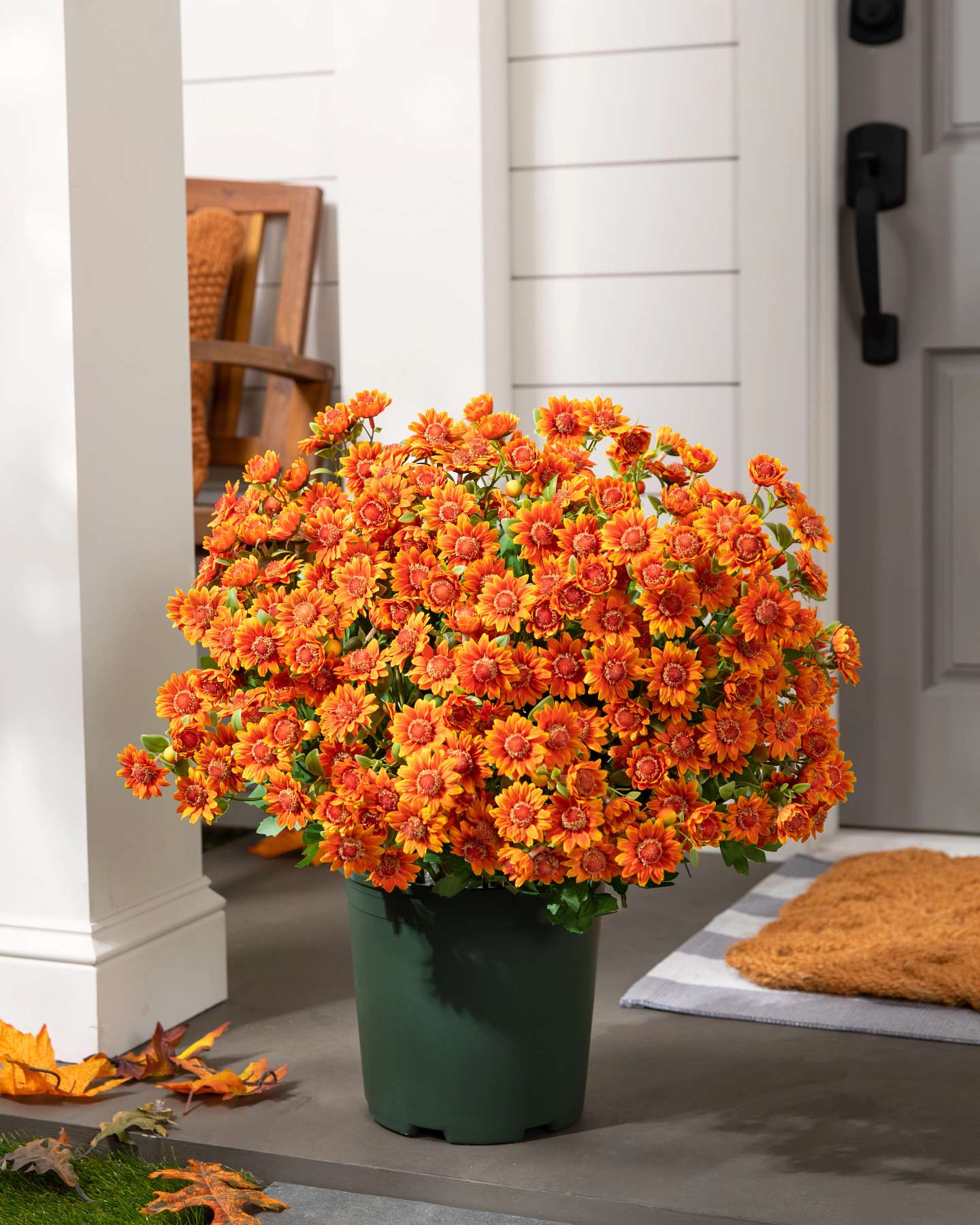 Balsam Hill 24-Inch Outdoor Orange Potted Artificial Fall Foliage Mums Unlit Outdoor Display