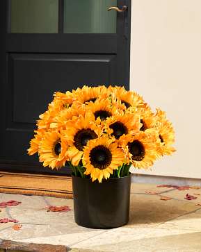 Outdoor Sunflower Fields Pot Filler Outdoor Sunflower Fields Pot Filler