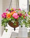 Outdoor Radiant Peony Hanging Basket by Balsam Hill SSC 30