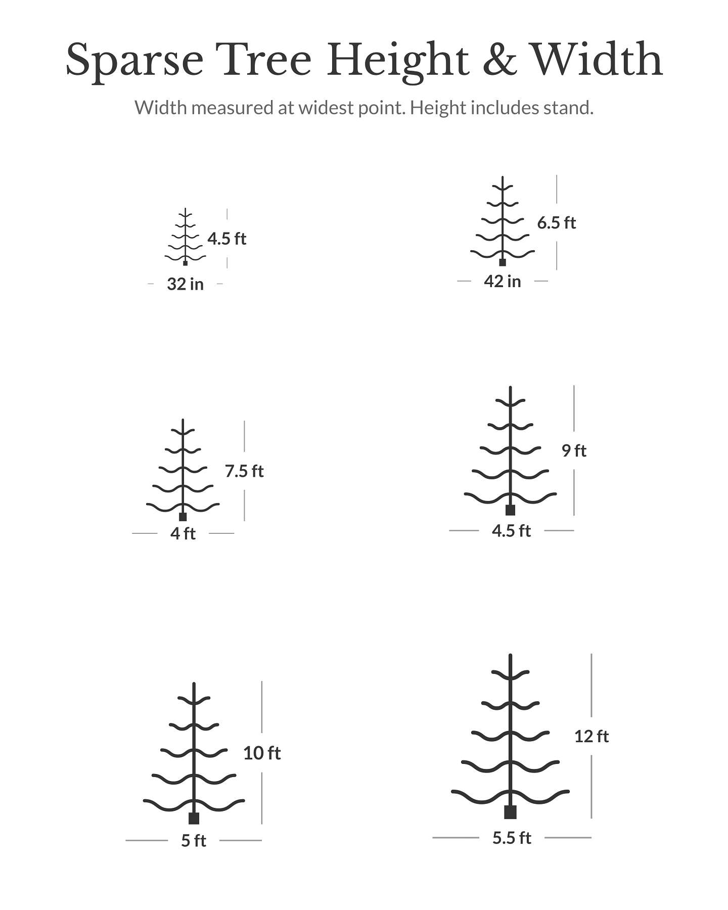Frosted Alpine Balsam Fir