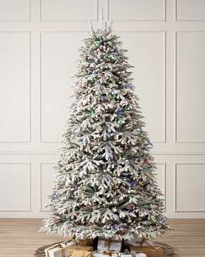 Frosted Fraser Fir Frosted Fraser Fir