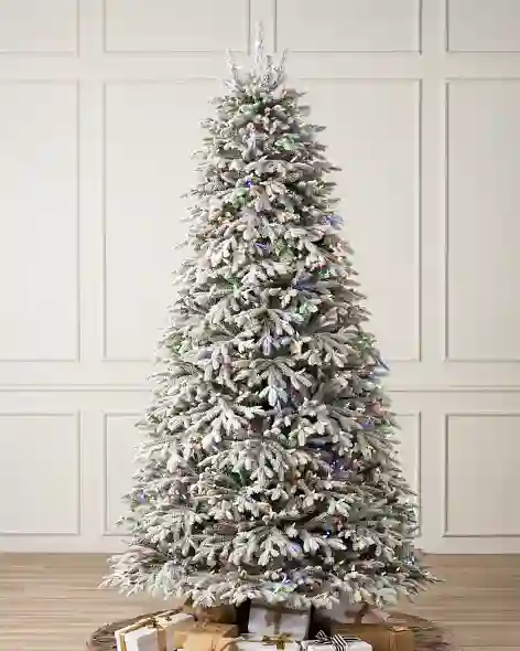 Frosted Fraser Fir by Balsam Hill Color + Clear LED SSC