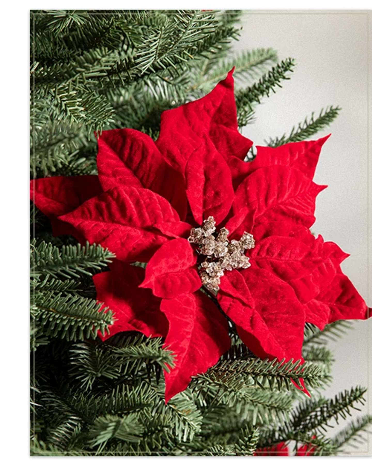 Balsam Hill Red Classic Poinsettia Artificial Christmas Tree Picks Showcase