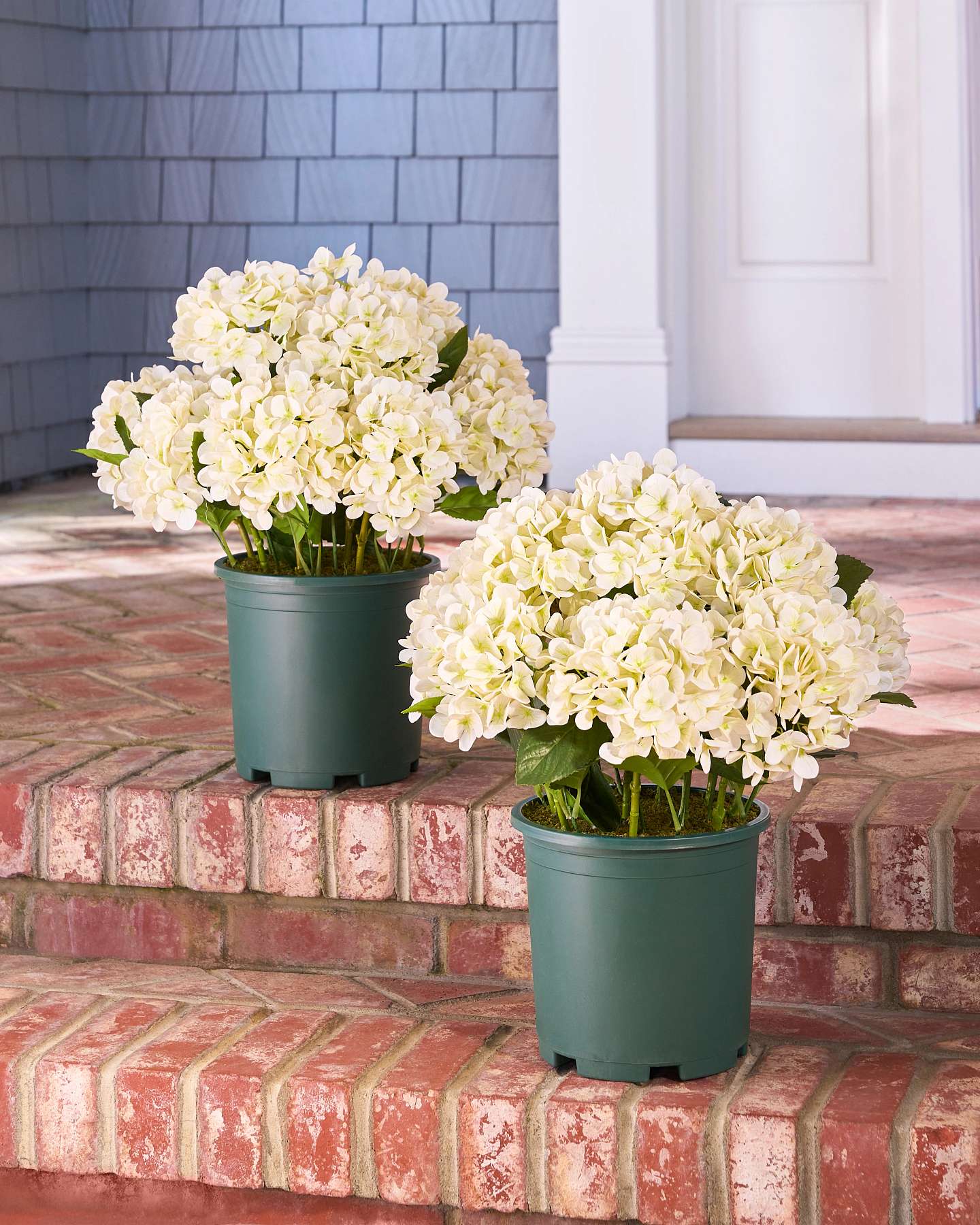 Balsam Hill Outdoor Hydrangea Harmony Ivory Artificial Spring Foliage Set of 2