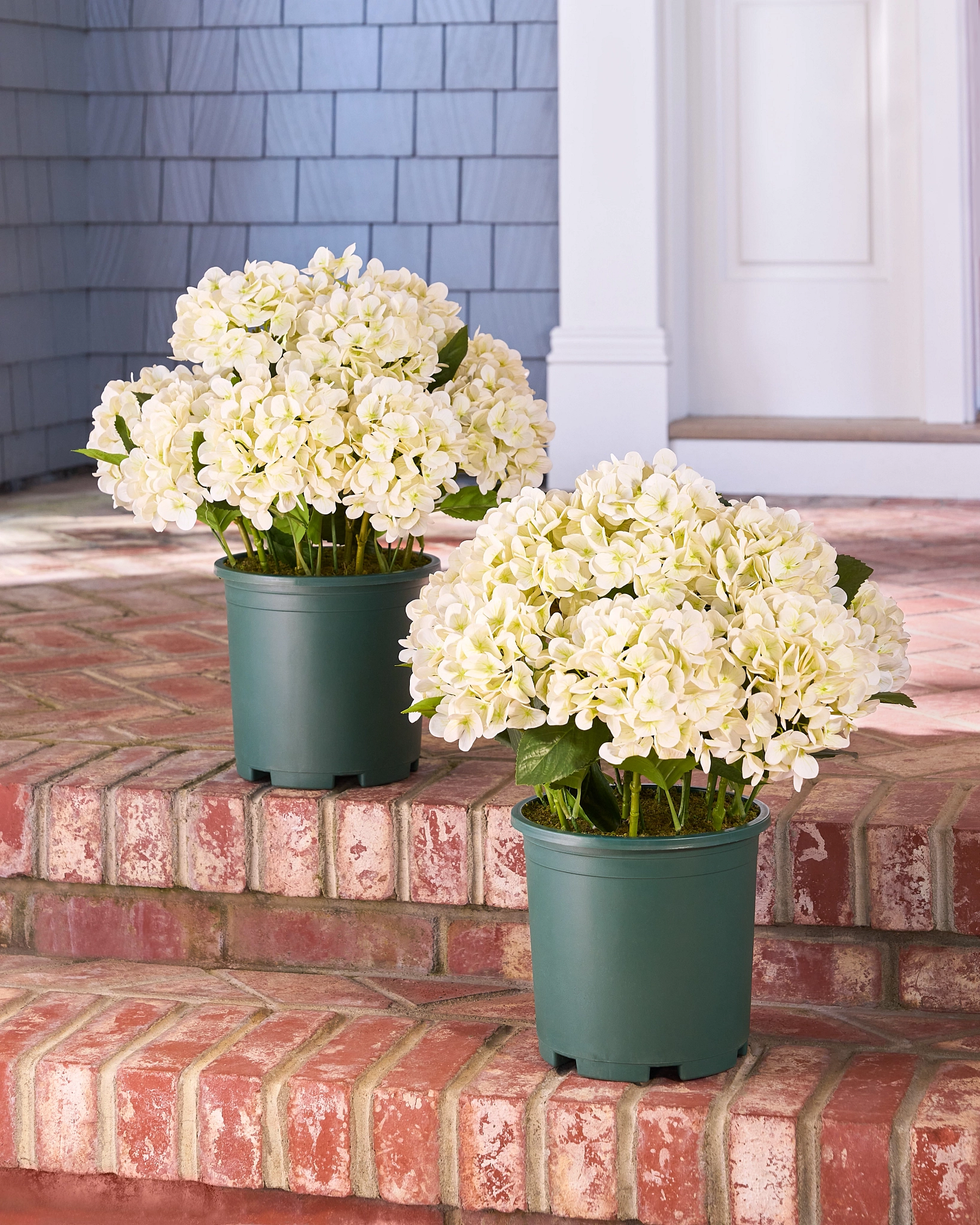 Outdoor Ivory Hydrangea Harmony Artificial Spring Pot Filler | Balsam Hill