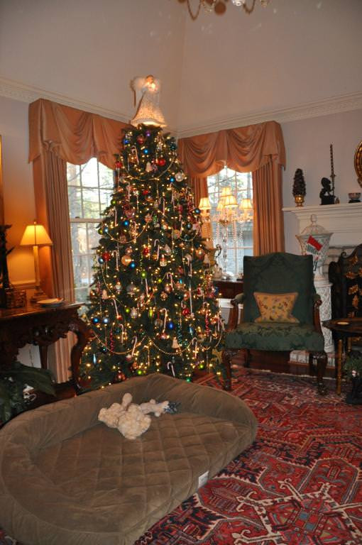 California Baby Redwood Christmas Tree Balsam Hill