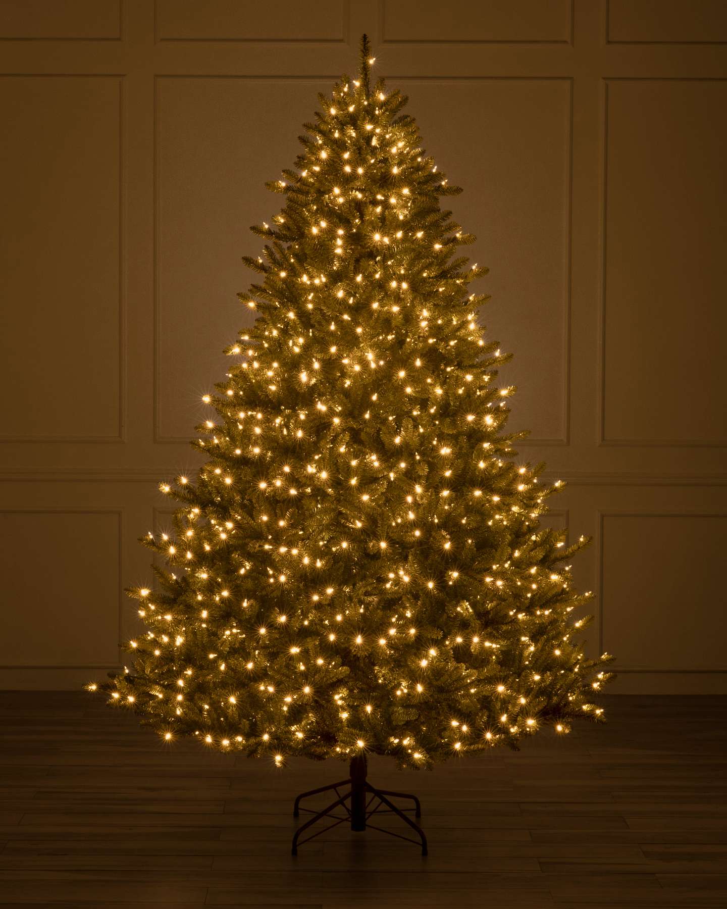 Classic Blue Spruce