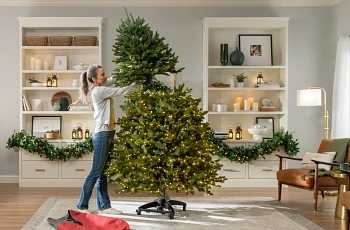 Person putting tree top of Flip Tree