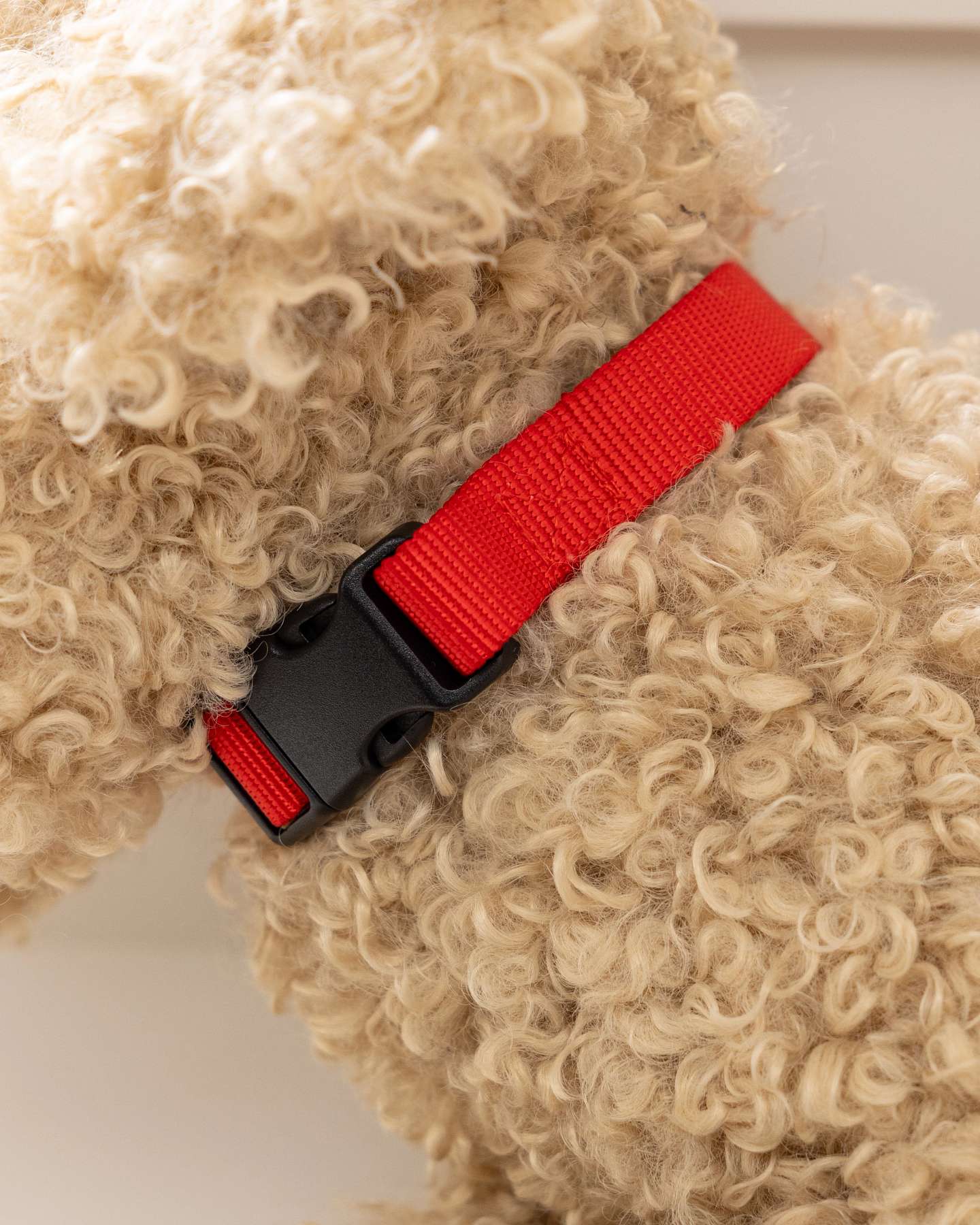 Balsam Hill Faux Sherpa Doodle Dog Collar Closeup