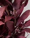 Burgundy Leaves Wreath Detail by Balsam Hill
