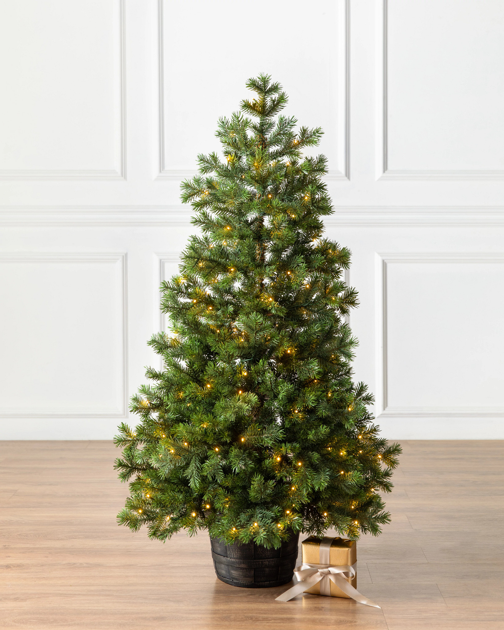 Baby Yukon Spruce® Potted Tree