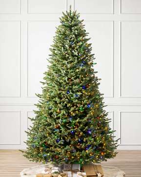 BH Balsam Fir Flip Tree® BH Balsam Fir Flip Tree®