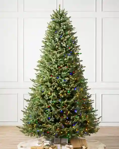 Color+ Clear™ LED Lights Balsam Fir Flip by Balsam Hill SSC