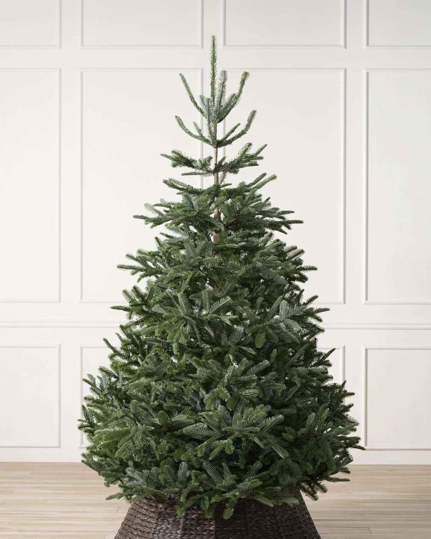 New Nordmann Fir by Balsam Hill Unlit