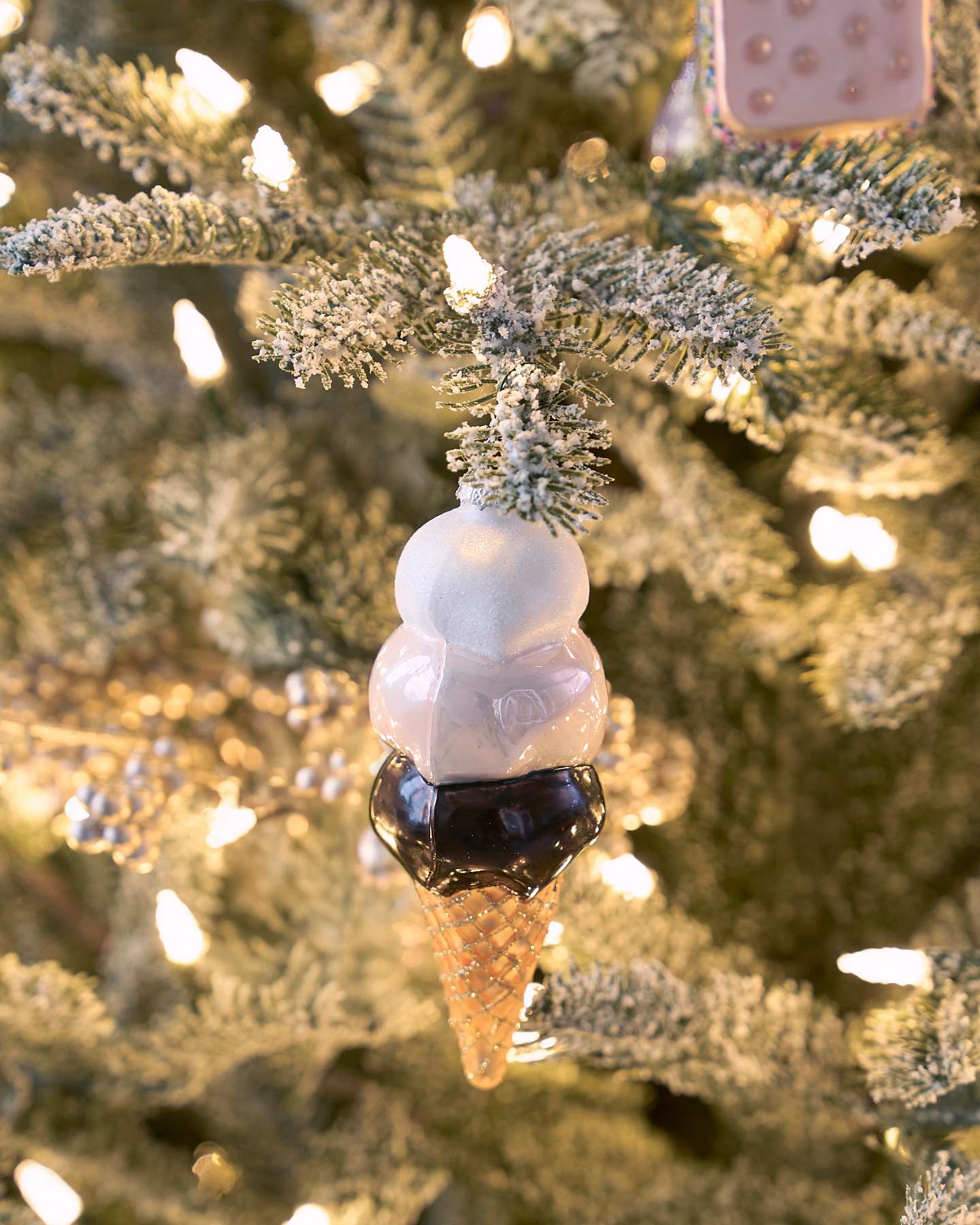 Frosted BH Nordmann Fir