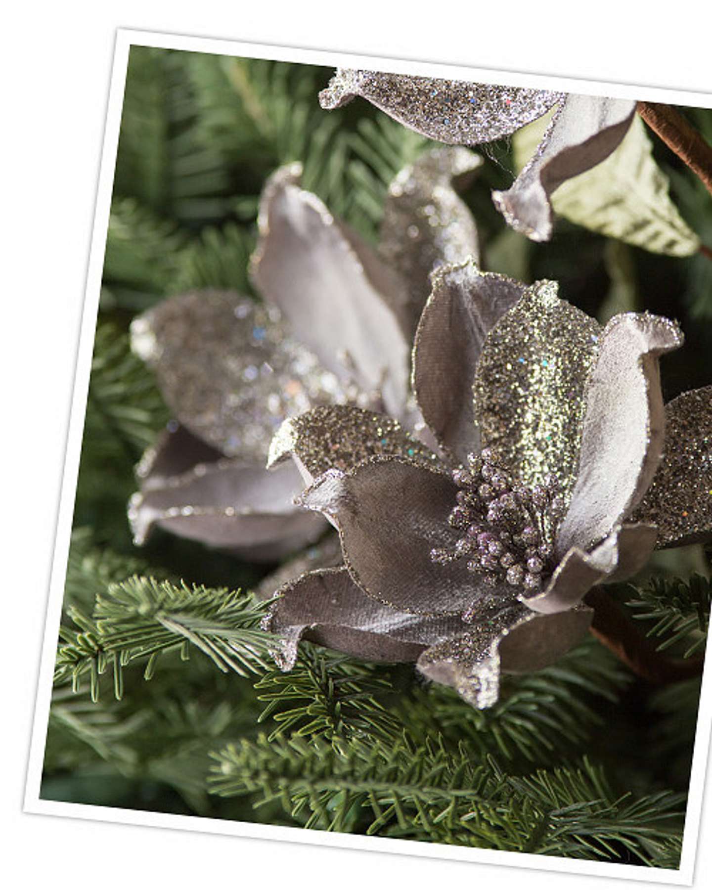 Balsam Hill Mini Magnolia Christmas Tree Picks Set of 12 Elegant Floral Accents