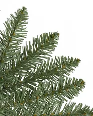 Close up of Classic Needle branch tip