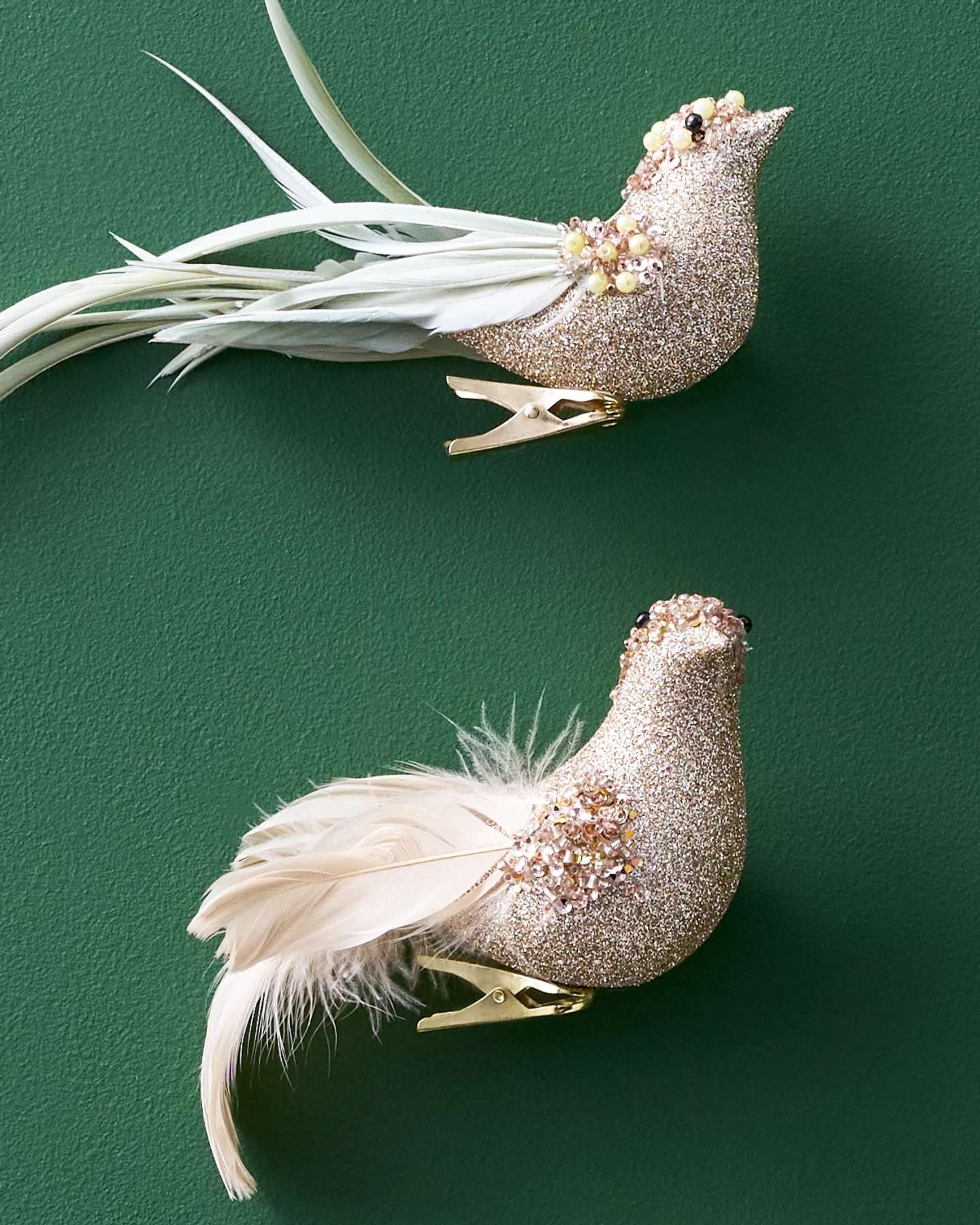 Champagne Gold Feathered Friends Ornaments, Set of 12
