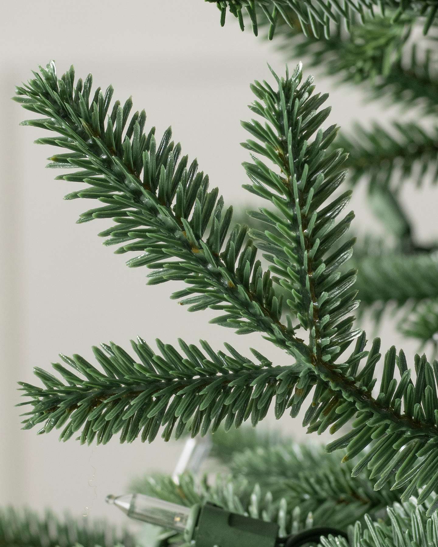 European Silver Fir by Balsam Hill Detail