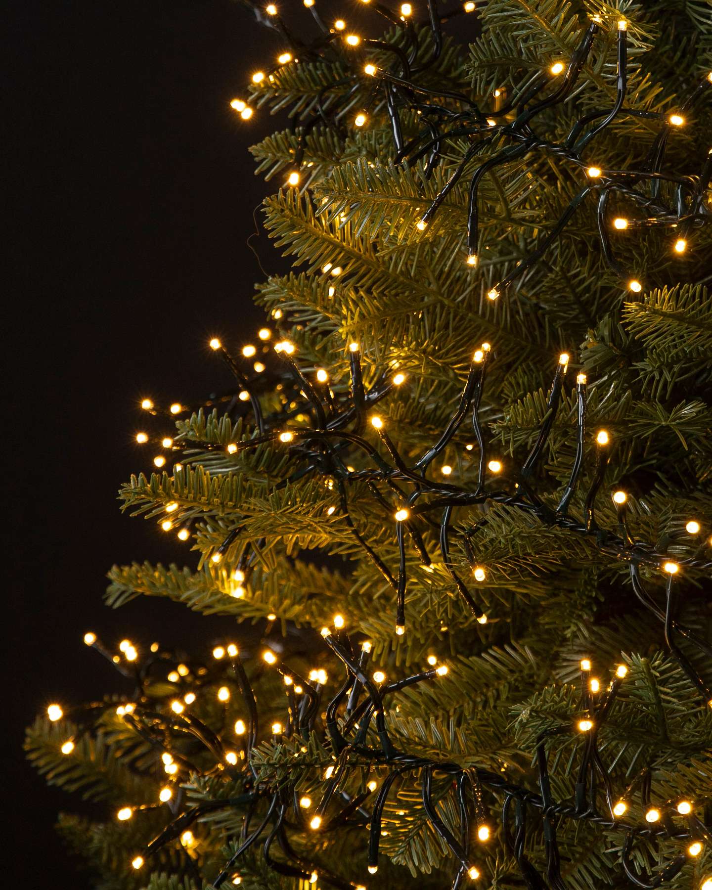 Balsam Hill 19.5-Foot Warm White Connectable Cluster Micro LED Light String Closeup