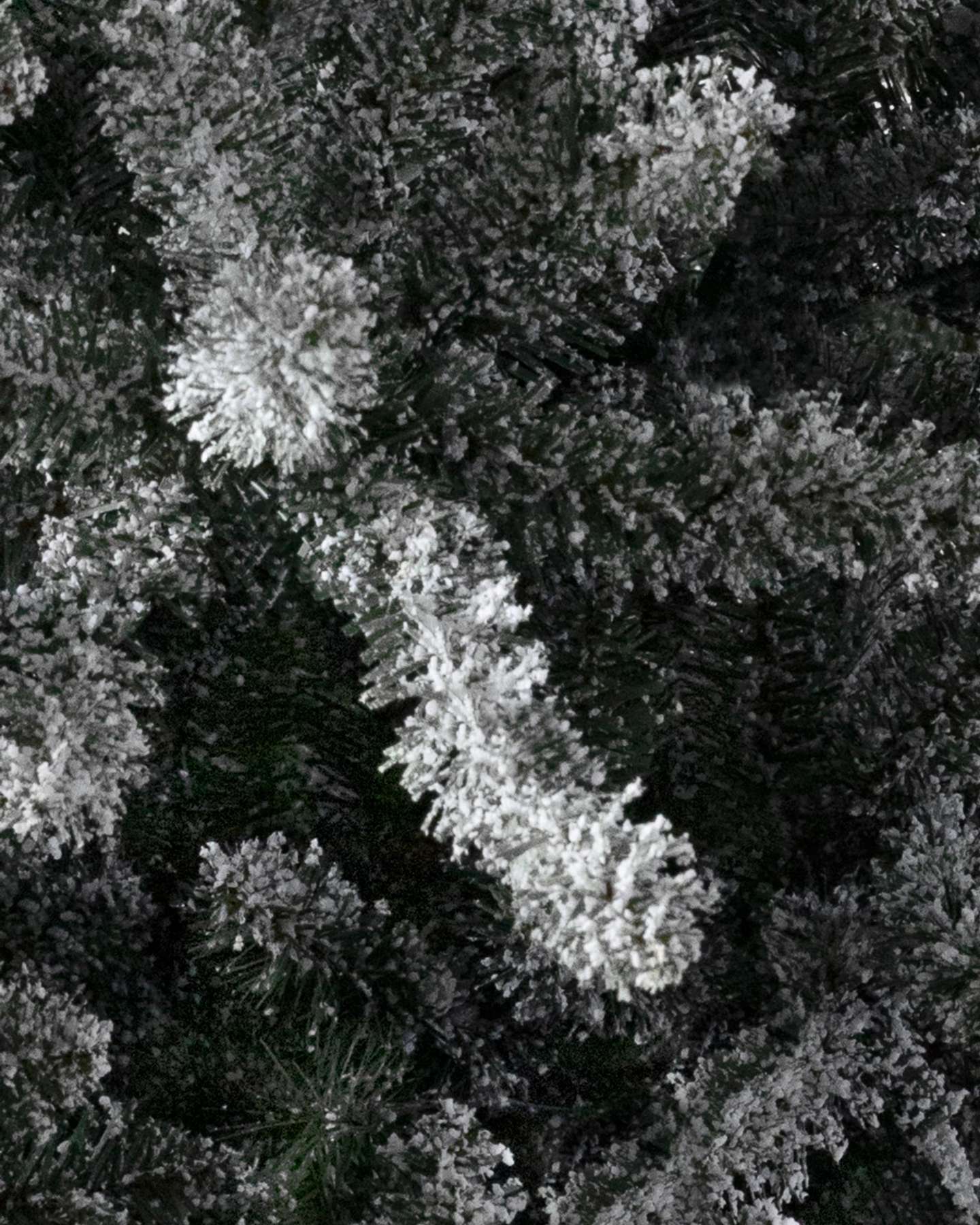 Frosted Classic Blue Spruce by Balsam Hill Branch Detail