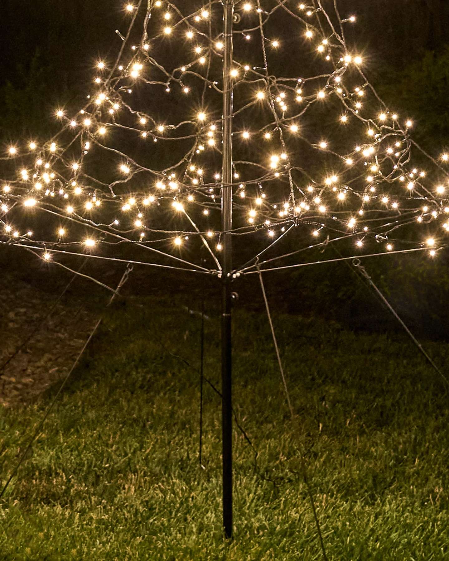 Balsam Hill Outdoor Cluster Light Tree Stand Closeup