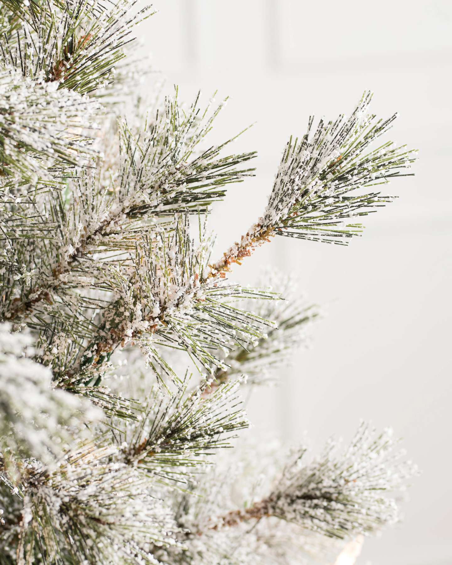 Frosted Sugar Pine by Balsam Hill Detail