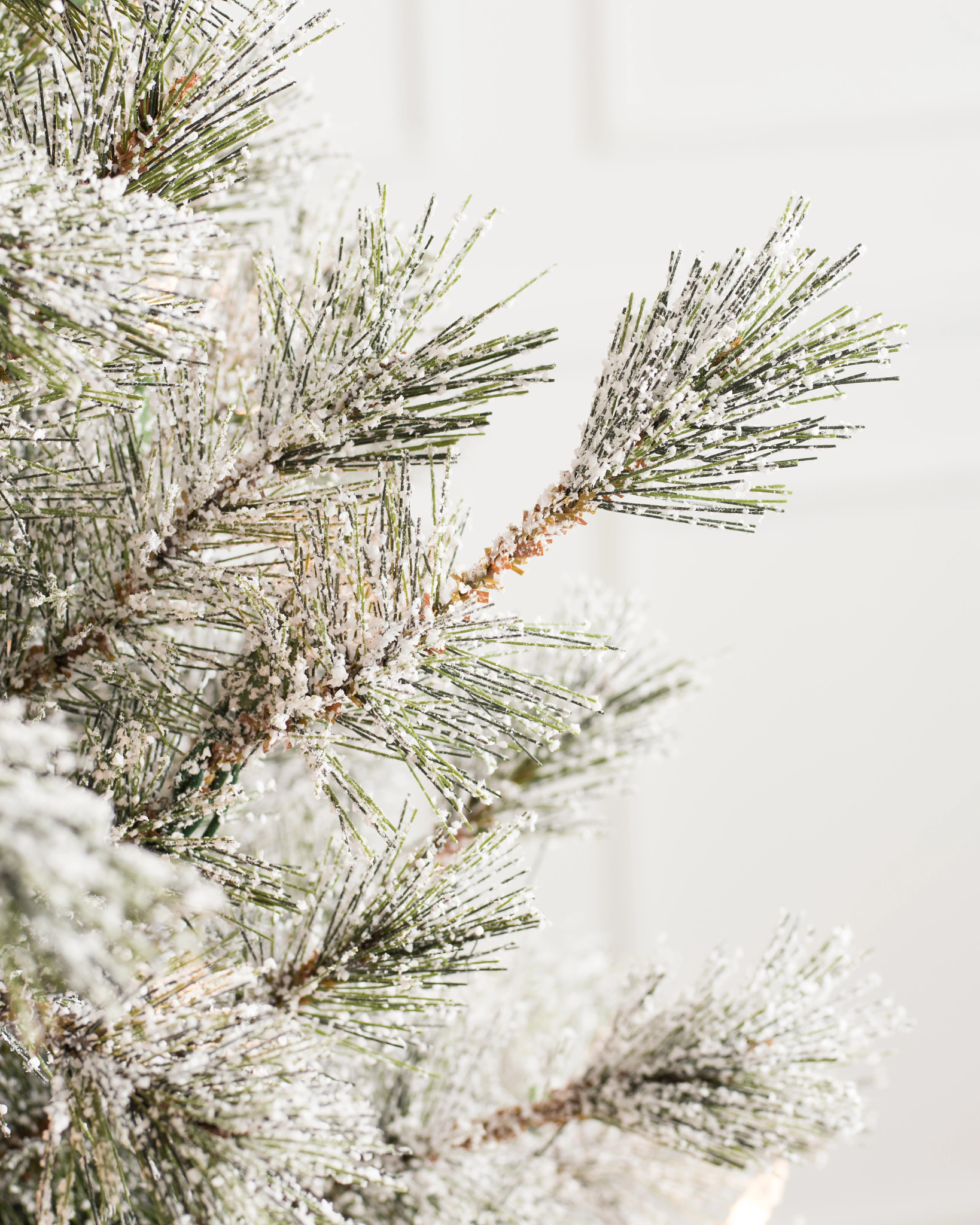 close-up of Christmas tree pine needles